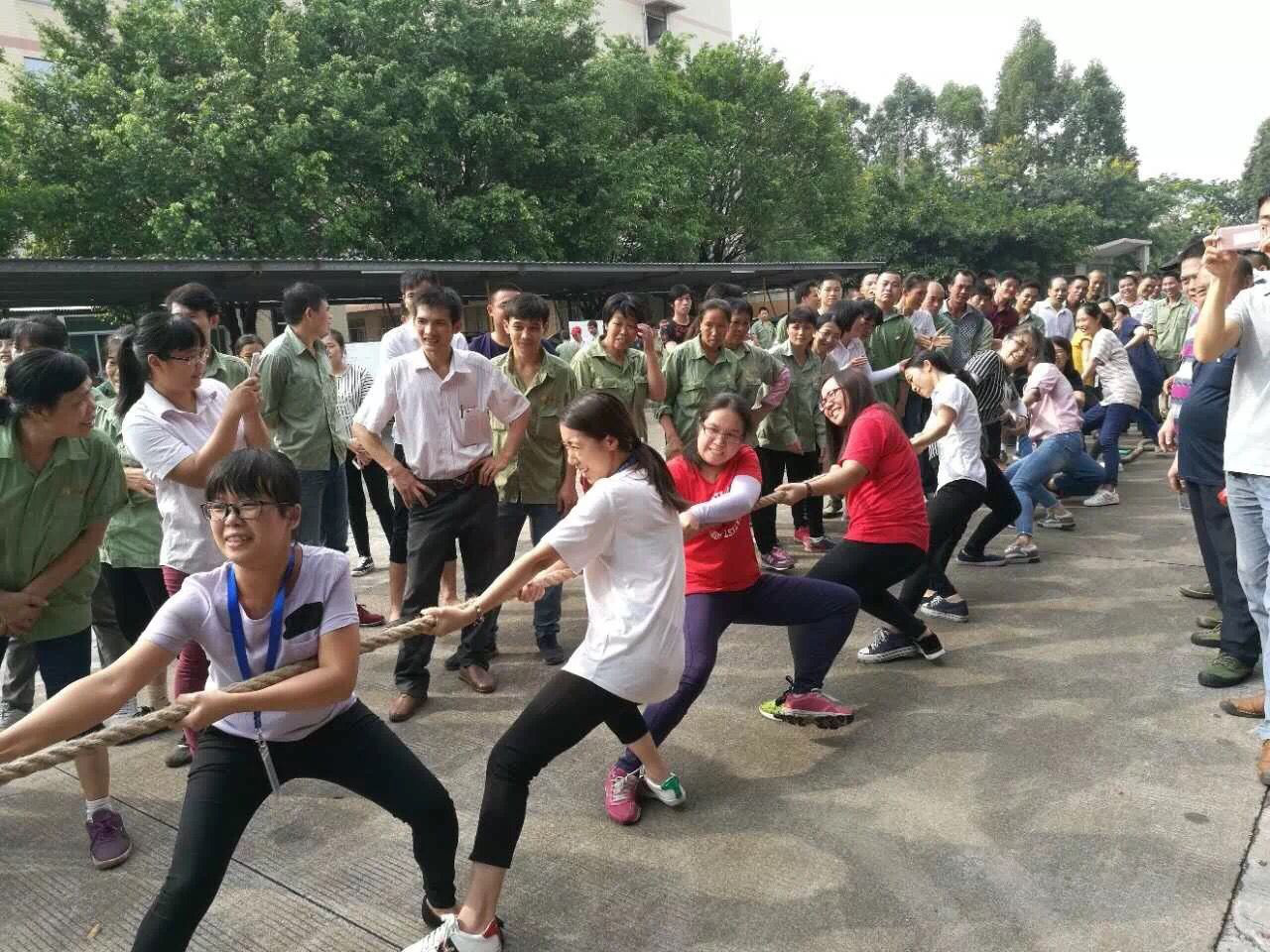 拔河比賽  強勢來襲